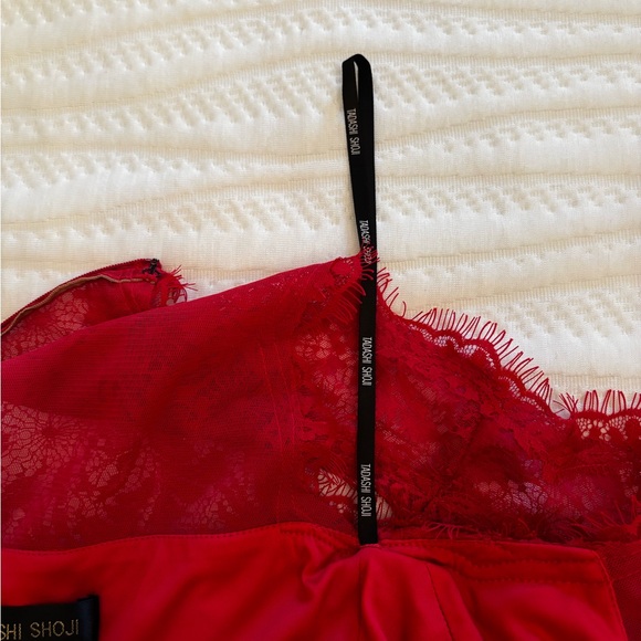 Tadashi Shoji Scarlet Lace Midi Dress - Picture 9 of 11